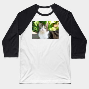 pretty cat Baseball T-Shirt